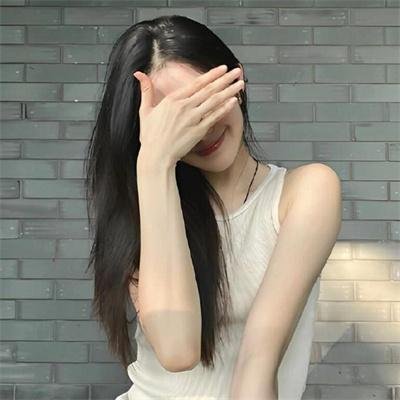 斑马头
